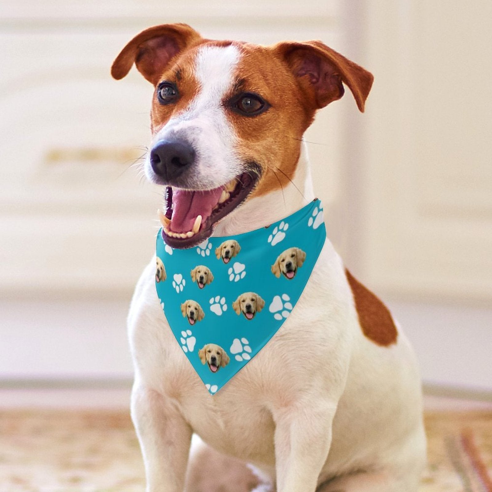 WEPRINTMEPet ScarfCustom Pet Face Pet Scarf