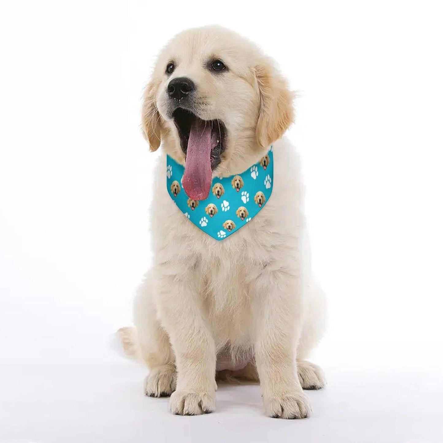 WEPRINTMEPet ScarfCustom Pet Face Pet Scarf