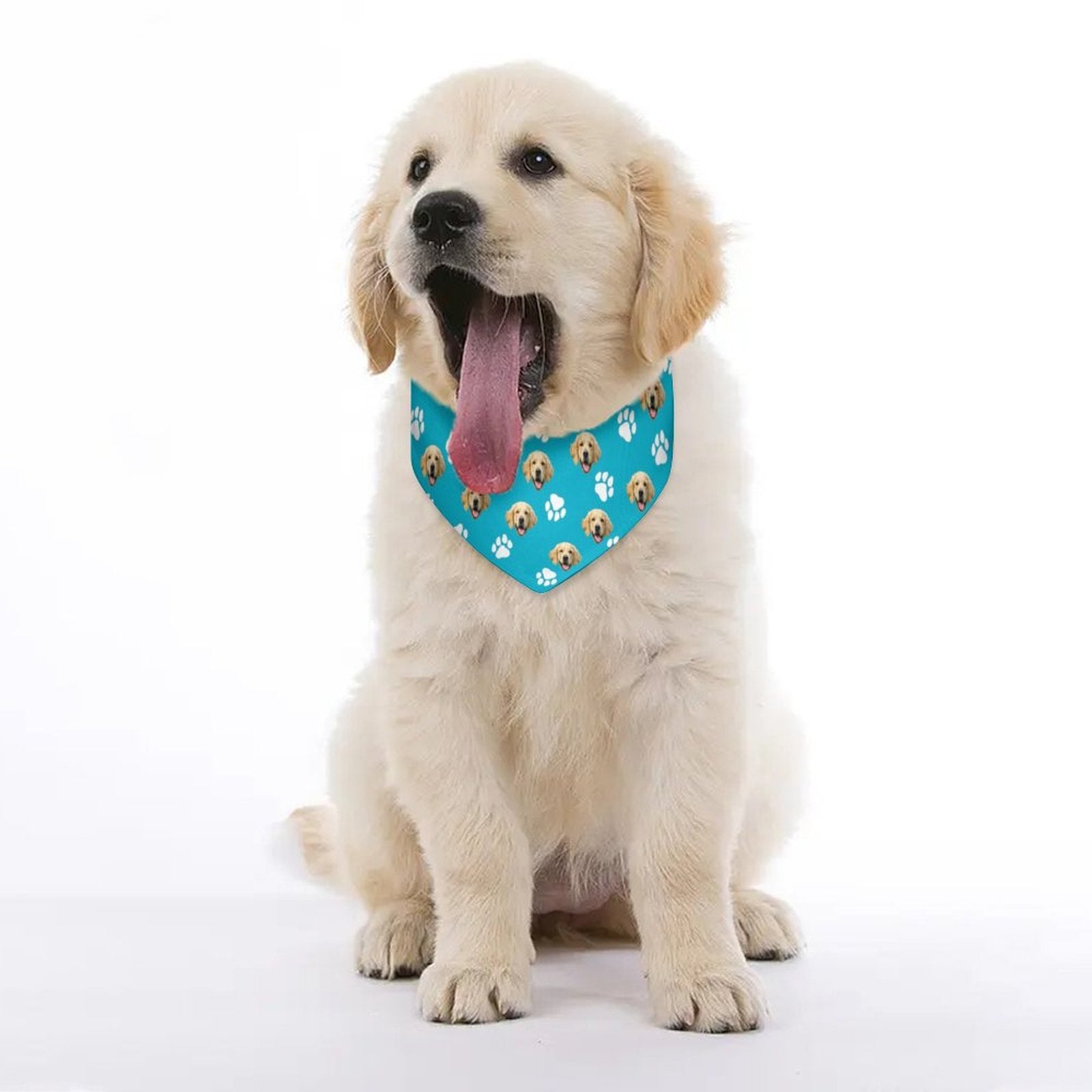 WEPRINTMEPet ScarfCustom Pet Face Pet Scarf