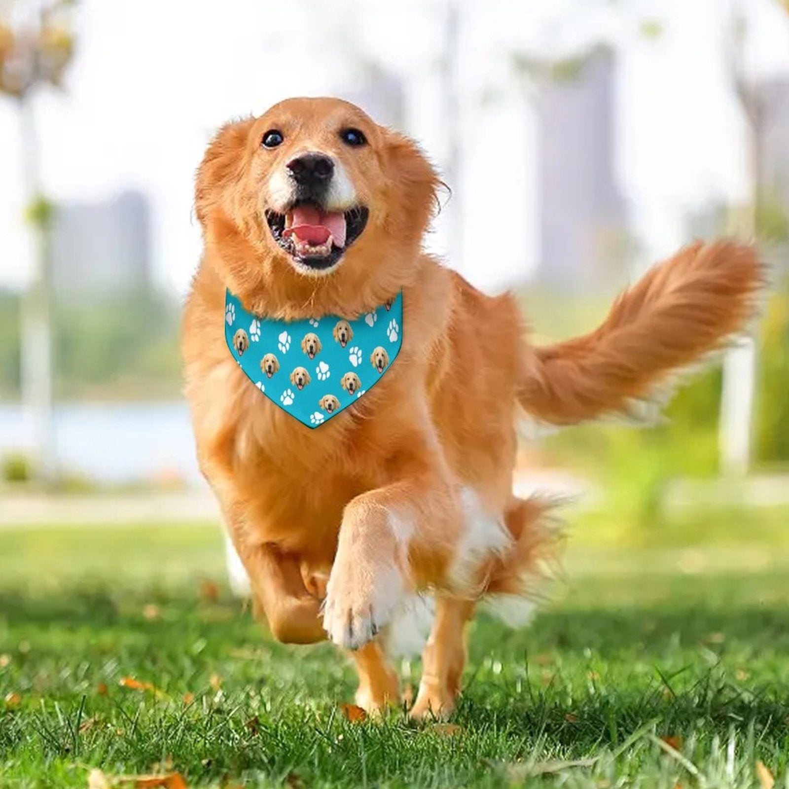 WEPRINTMEPet ScarfCustom Pet Face Pet Scarf