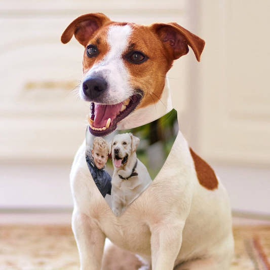 WePrintMePet ScarfCustom Photo Pet Scarf
