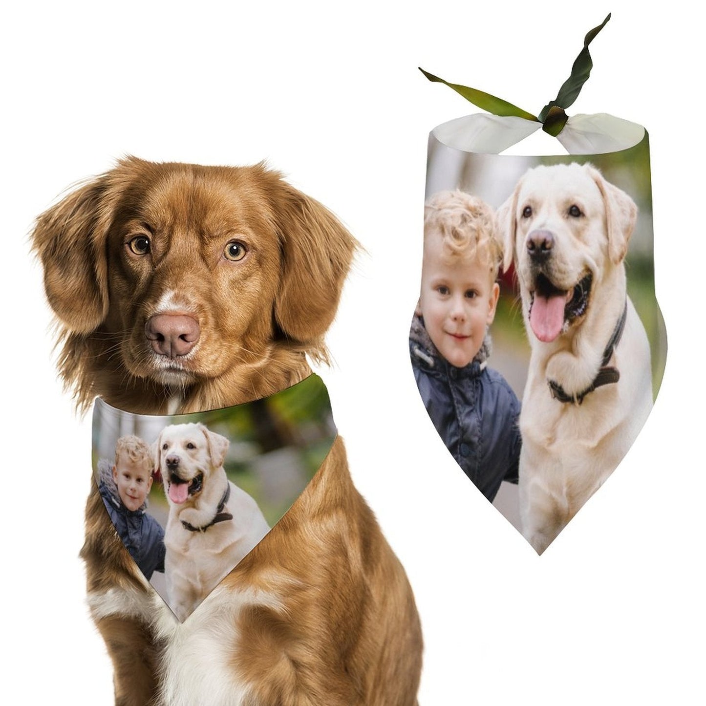 WEPRINTMEPet ScarfCustom Photo Pet Scarf