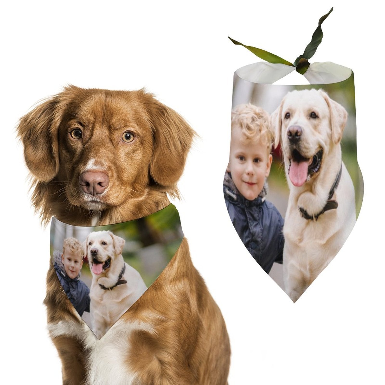 WEPRINTMEPet ScarfCustom Photo Pet Scarf
