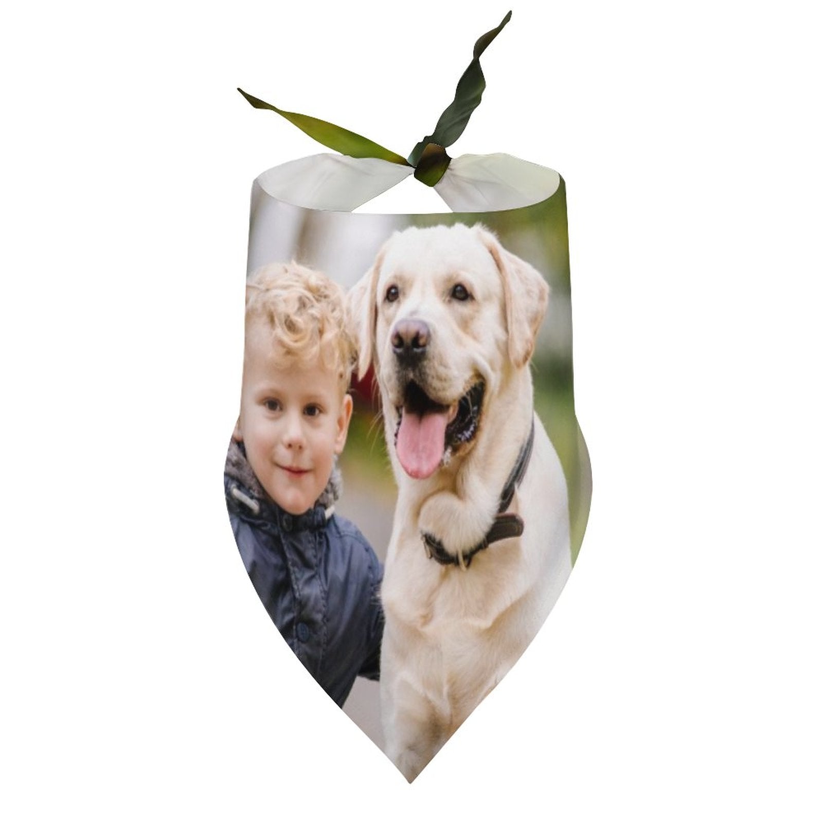 WEPRINTMEPet ScarfCustom Photo Pet Scarf