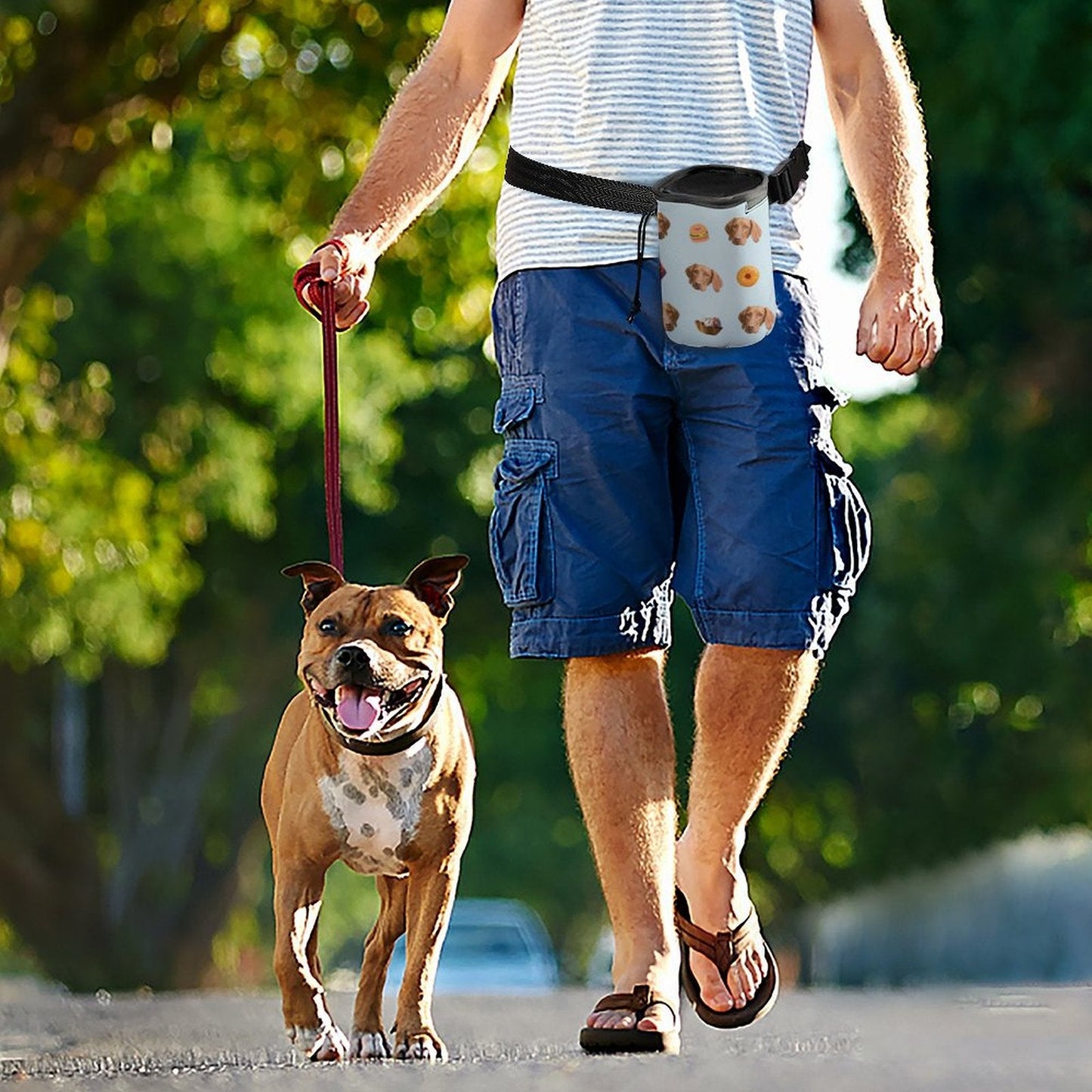 WEPRINTMEPet SuppliesCustom Pet Face Training Package