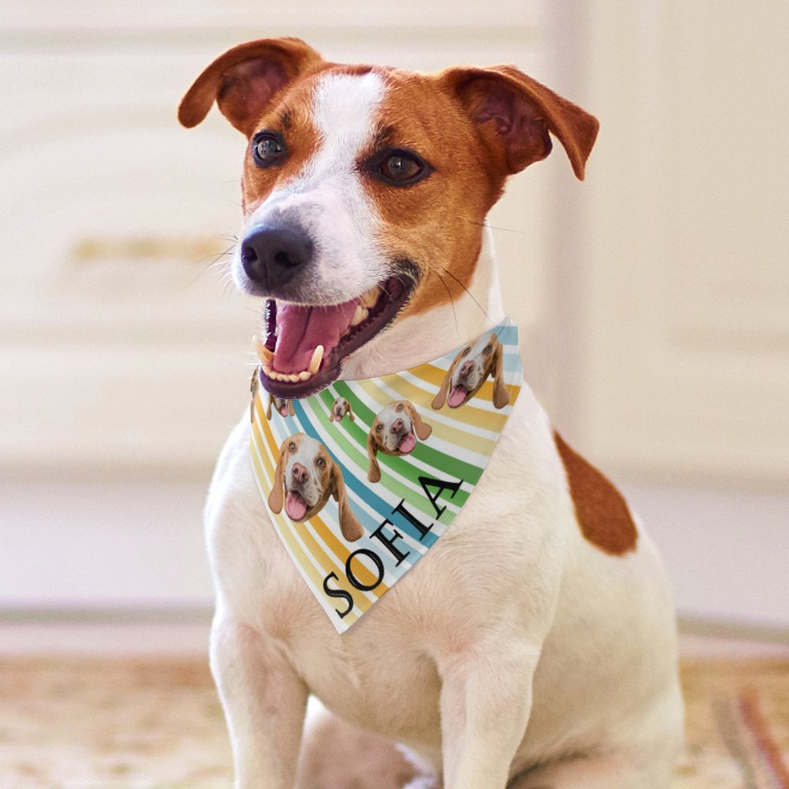 WEPRINTMEPet SuppliesCustom Pet Scarf Face Dog Bandana