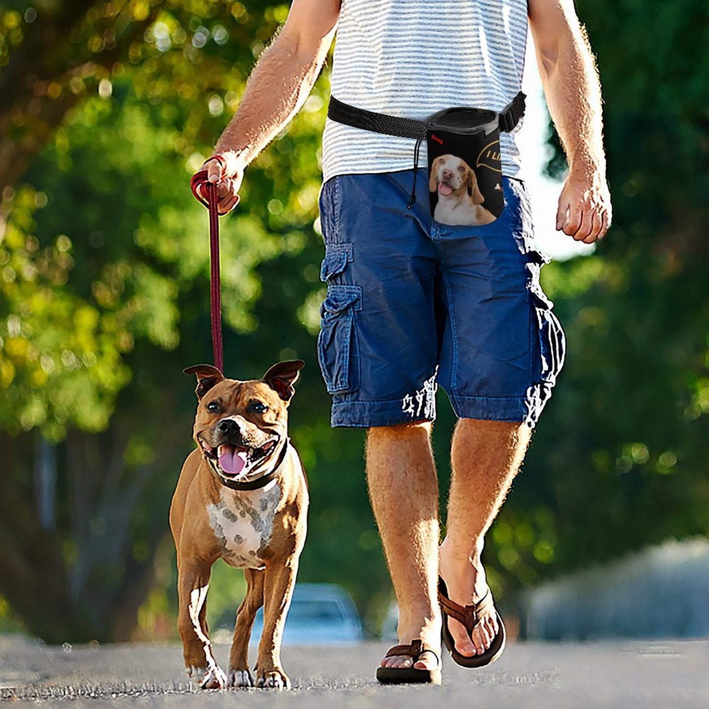 WEPRINTMEPet SuppliesCustom Pet Training Package
