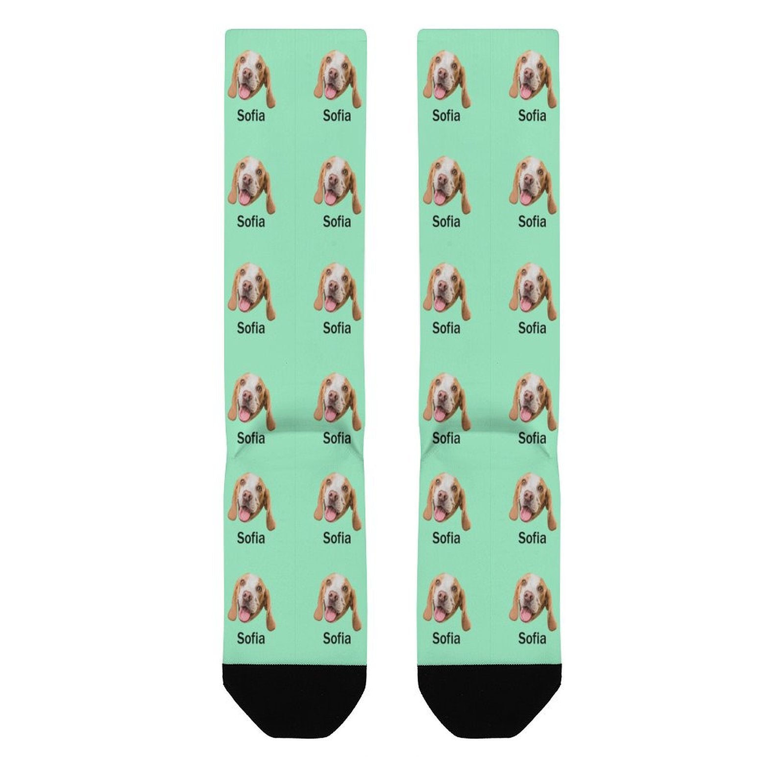 WEPRINTMESocksCustom Pet Face and Name Socks